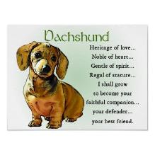 best_friend_-_dachshund-219x219-1